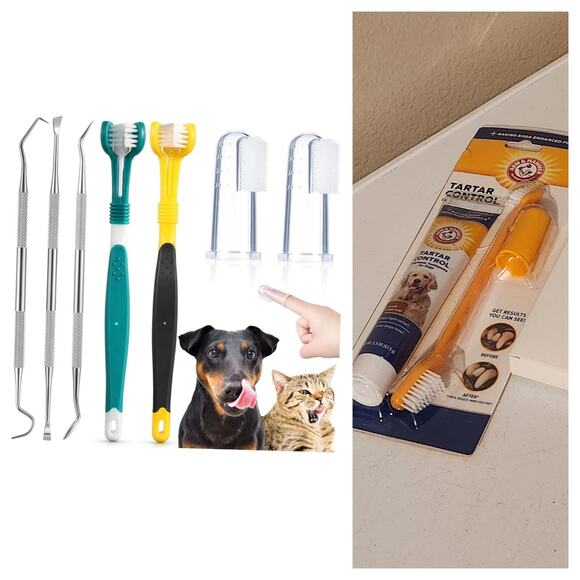 Pet tooth care kit new sealed toothpaste toothbrush and dental kit unopened - Picture 1 of 10